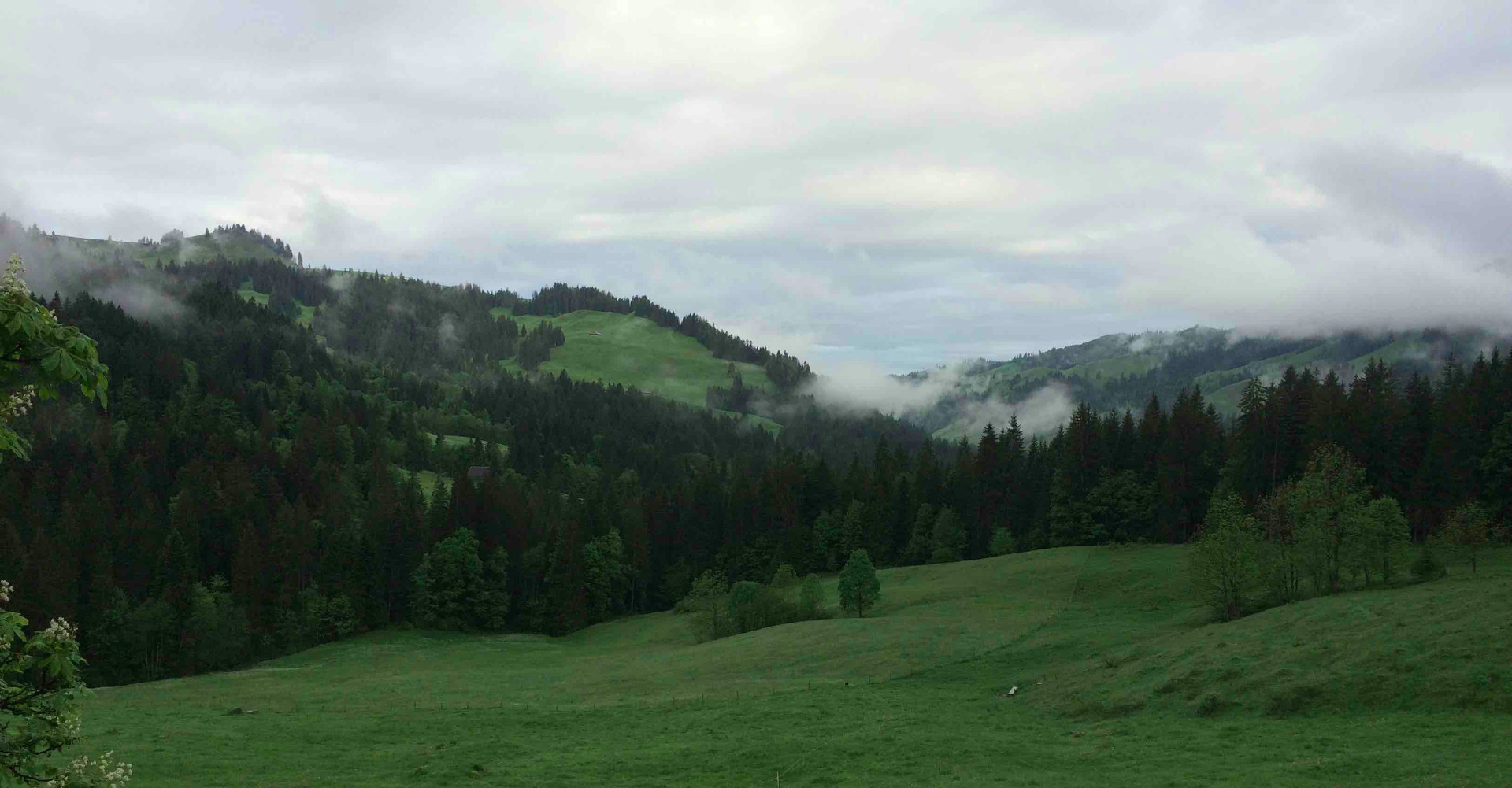 Sicht in Richtung Innereriz