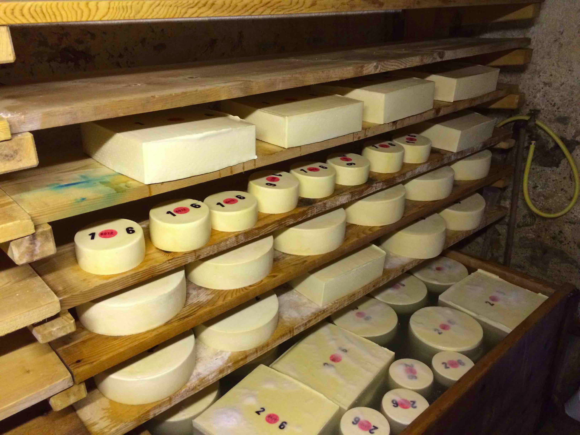 Im Keller am trocknen