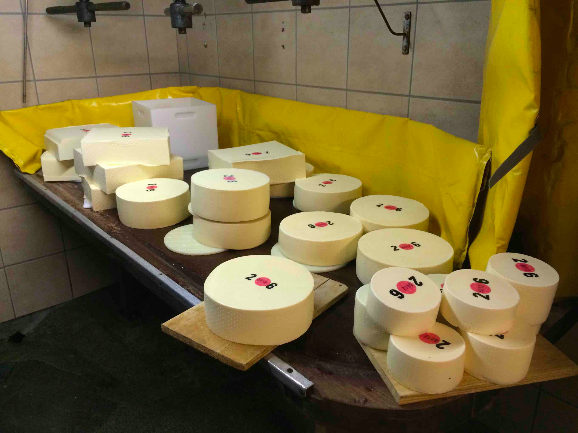 Mutsch, Mutschli und Raclettekäse