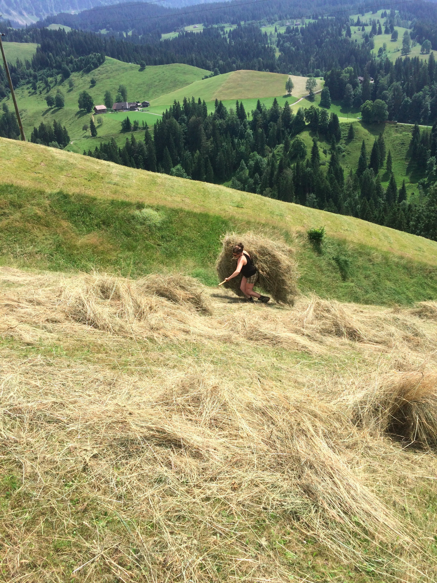 Heu einsammeln, wo es für die Maschinen zu steil ist