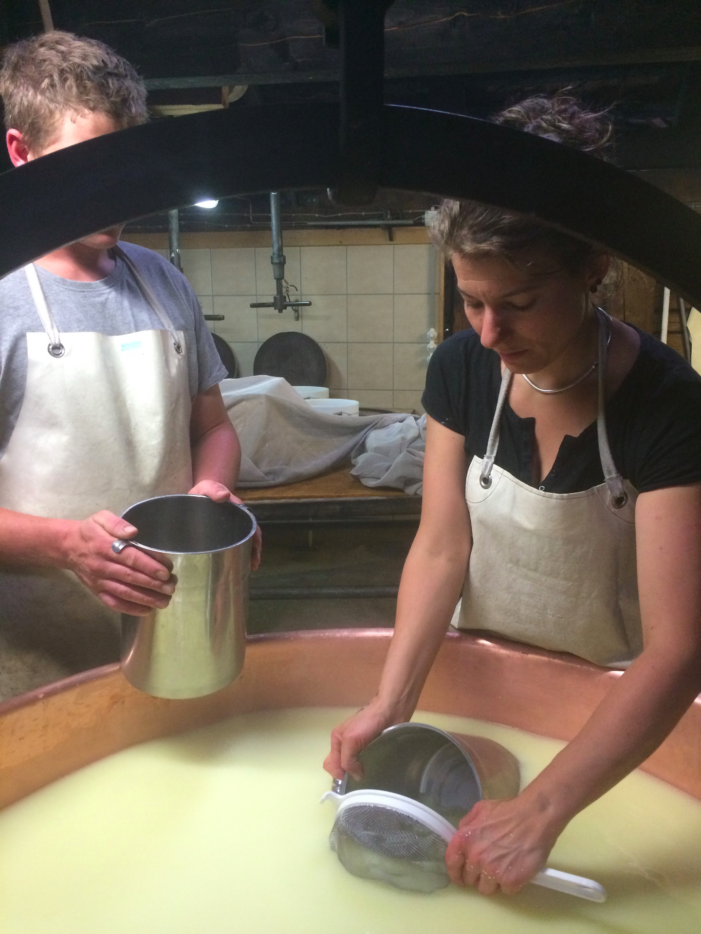 Molkenentnahme für neue Fettsirtenkultur